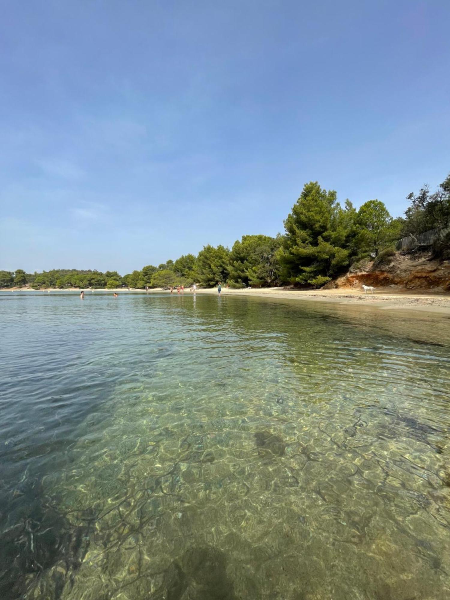 Appartement Plage Piscine Et Tennis Inclus Ла-Лонд-ле-Мор Екстер'єр фото